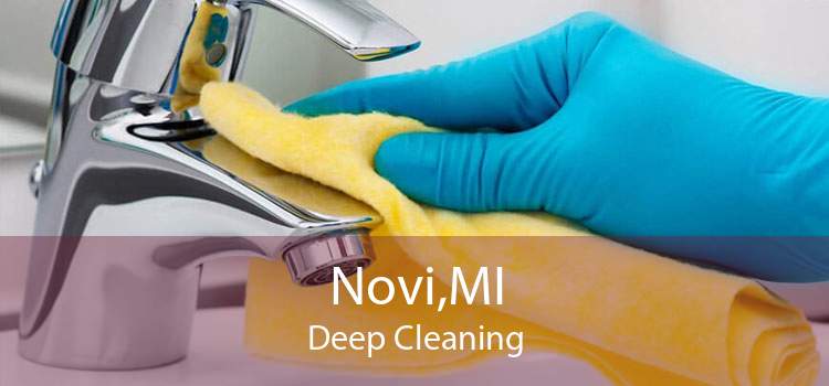 Novi,MI Deep Cleaning