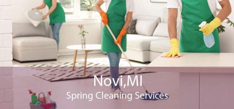 Novi,MI Spring Cleaning Services