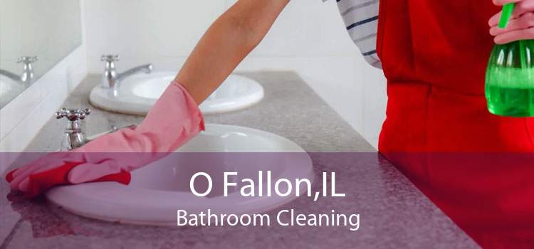 O Fallon,IL Bathroom Cleaning