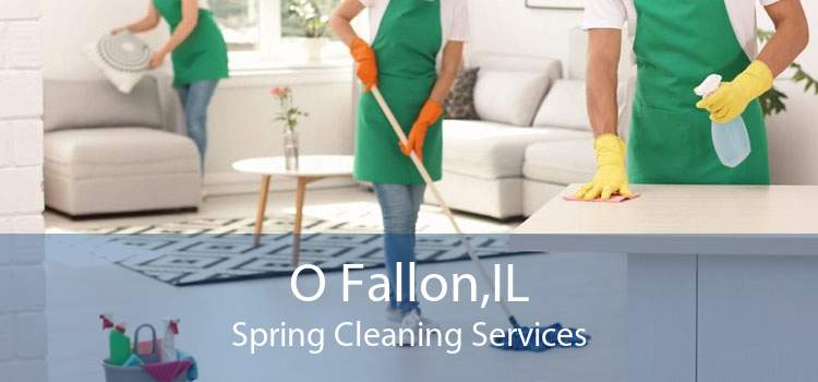 O Fallon,IL Spring Cleaning Services