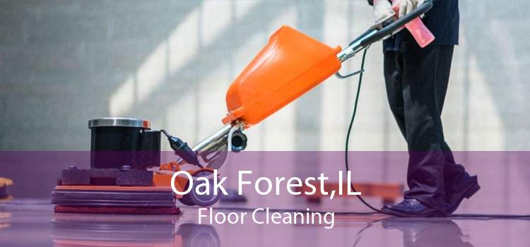 Oak Forest,IL Floor Cleaning