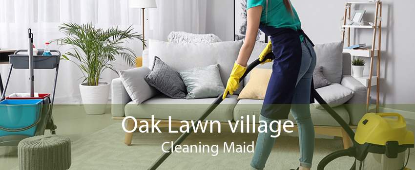 Oak Lawn village Cleaning Maid
