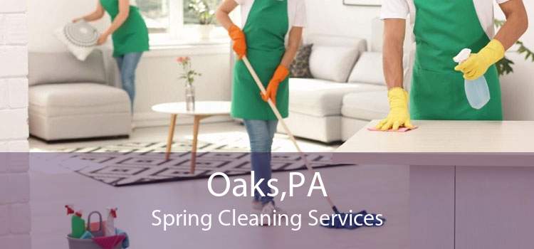 Oaks,PA Spring Cleaning Services