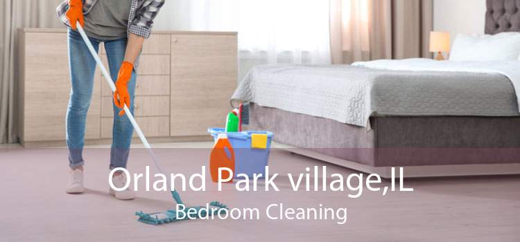 Orland Park village,IL Bedroom Cleaning