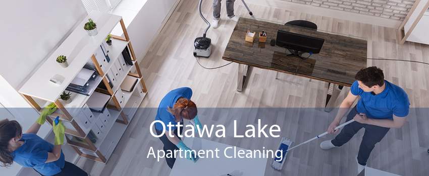 Ottawa Lake Apartment Cleaning