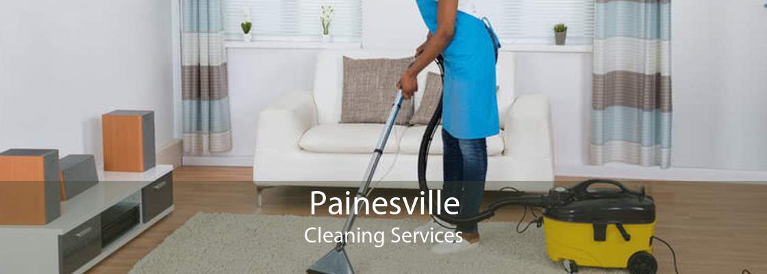 Painesville Cleaning Services