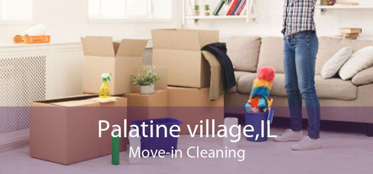 Palatine village,IL Move-in Cleaning
