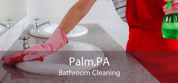 Palm,PA Bathroom Cleaning