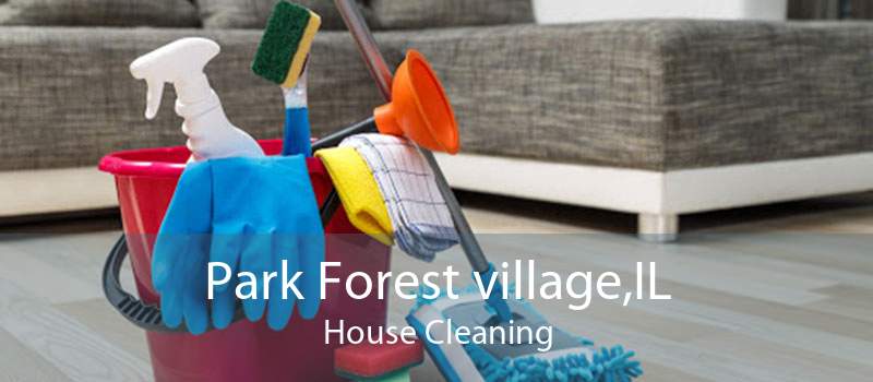 Park Forest village,IL House Cleaning