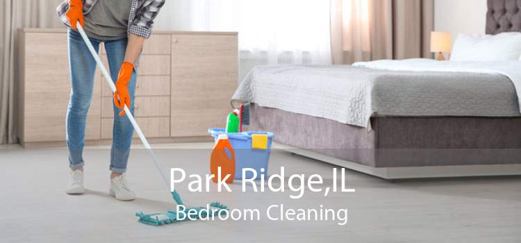 Park Ridge,IL Bedroom Cleaning