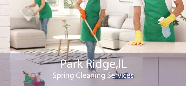 Park Ridge,IL Spring Cleaning Services
