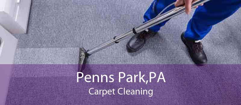 Penns Park,PA Carpet Cleaning