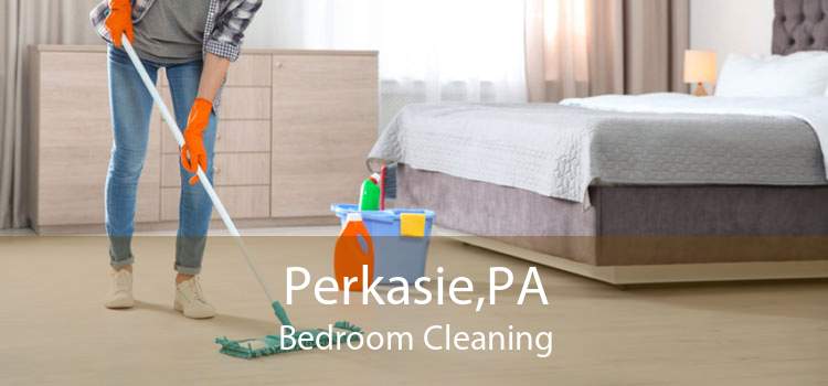 Perkasie,PA Bedroom Cleaning