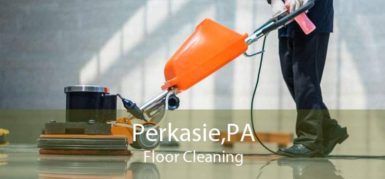Perkasie,PA Floor Cleaning