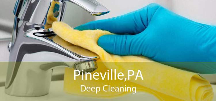 Pineville,PA Deep Cleaning