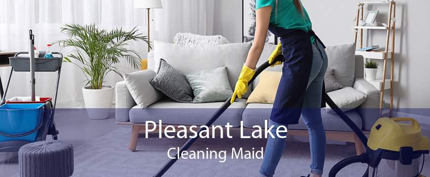 Pleasant Lake Cleaning Maid