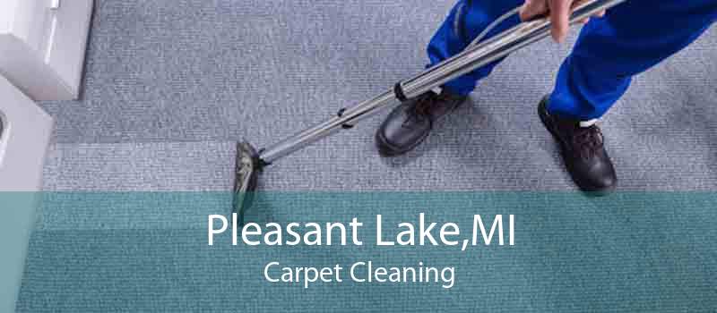 Pleasant Lake,MI Carpet Cleaning