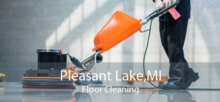Pleasant Lake,MI Floor Cleaning