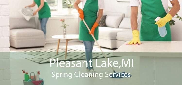 Pleasant Lake,MI Spring Cleaning Services