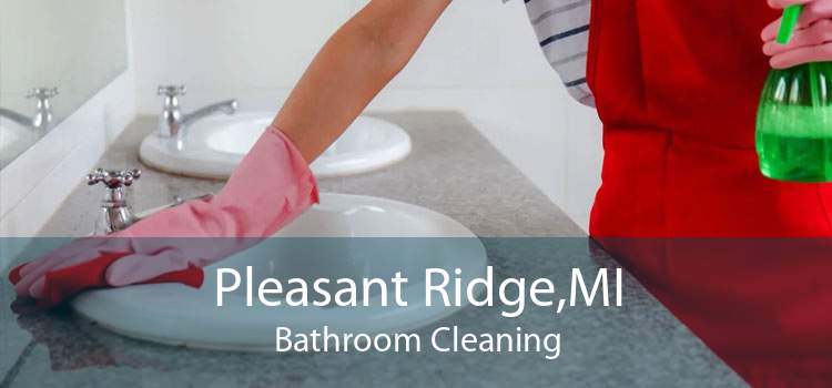 Pleasant Ridge,MI Bathroom Cleaning