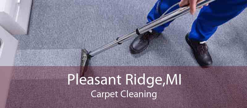 Pleasant Ridge,MI Carpet Cleaning
