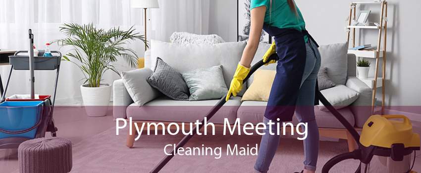Plymouth Meeting Cleaning Maid