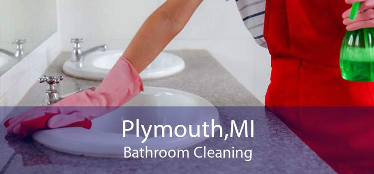 Plymouth,MI Bathroom Cleaning