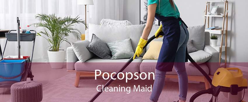 Pocopson Cleaning Maid