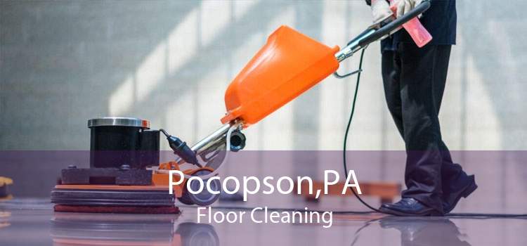 Pocopson,PA Floor Cleaning