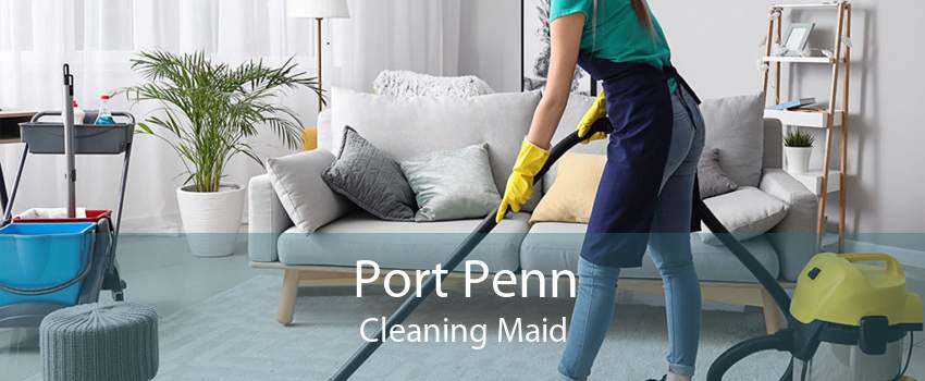 Port Penn Cleaning Maid