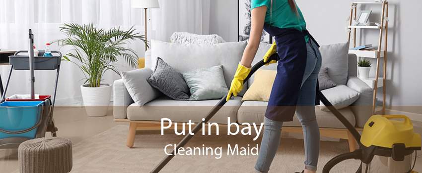 Put in bay Cleaning Maid
