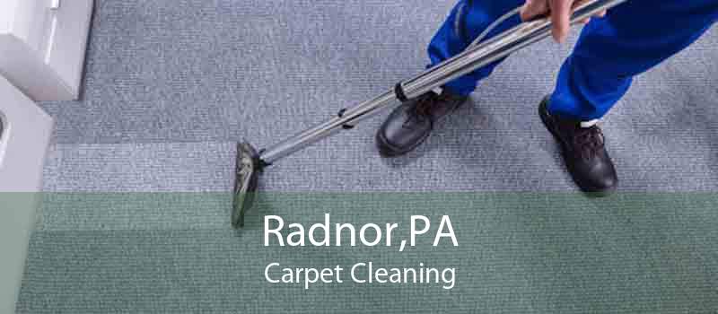 Radnor,PA Carpet Cleaning