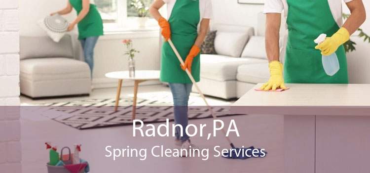 Radnor,PA Spring Cleaning Services