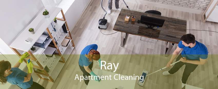 Ray Apartment Cleaning