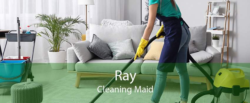 Ray Cleaning Maid