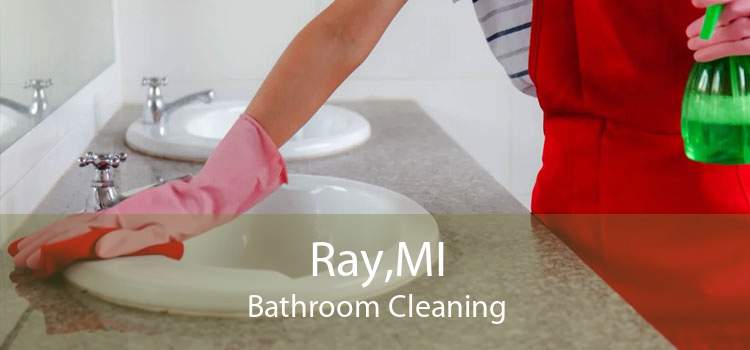 Ray,MI Bathroom Cleaning