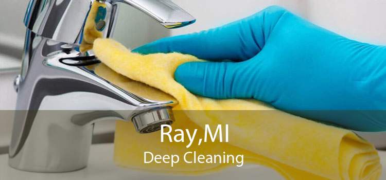 Ray,MI Deep Cleaning