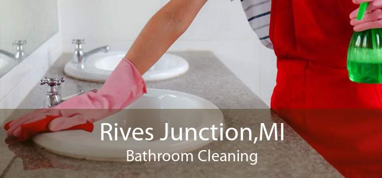 Rives Junction,MI Bathroom Cleaning