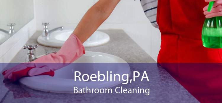 Roebling,PA Bathroom Cleaning
