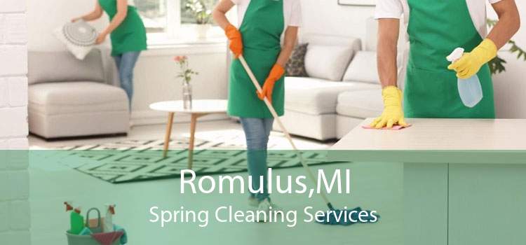 Romulus,MI Spring Cleaning Services