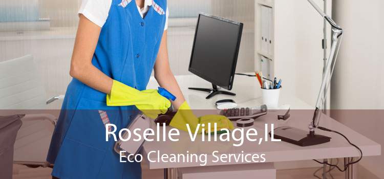 Roselle Village,IL Eco Cleaning Services