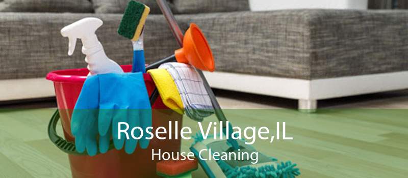Roselle Village,IL House Cleaning