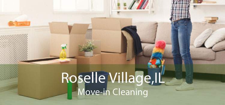 Roselle Village,IL Move-in Cleaning