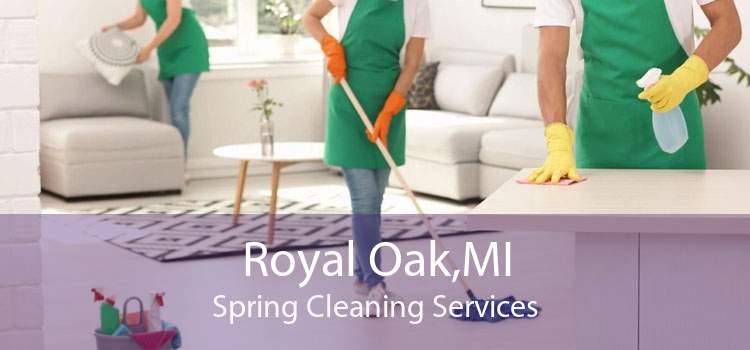 Royal Oak,MI Spring Cleaning Services