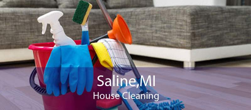 Saline,MI House Cleaning