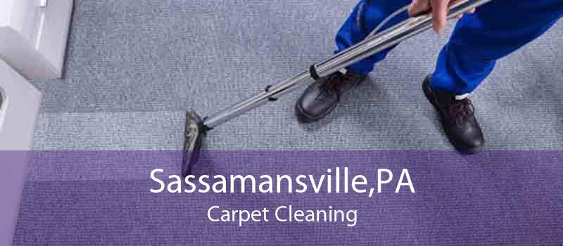 Sassamansville,PA Carpet Cleaning