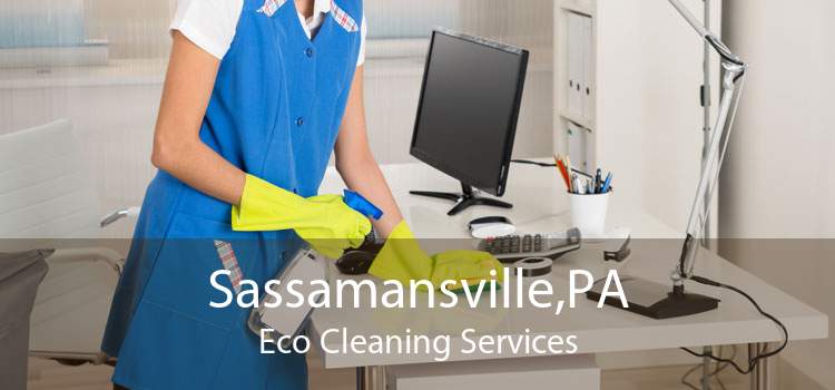 Sassamansville,PA Eco Cleaning Services