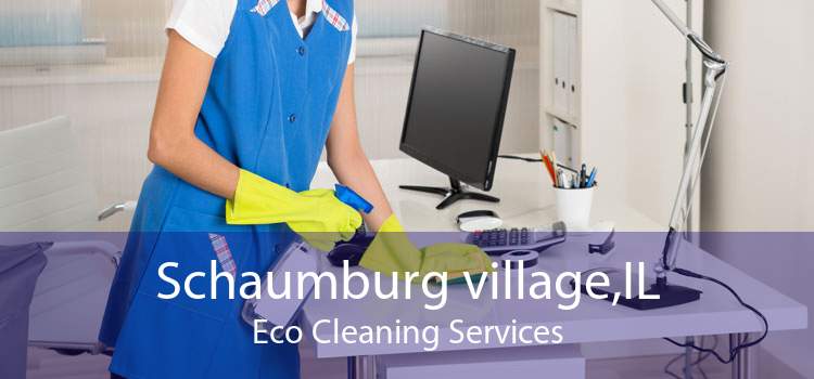Schaumburg village,IL Eco Cleaning Services