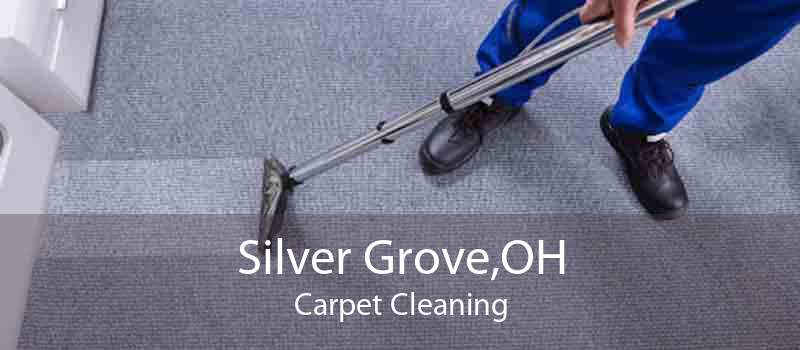 Silver Grove,OH Carpet Cleaning