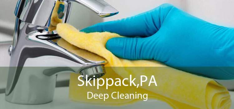 Skippack,PA Deep Cleaning